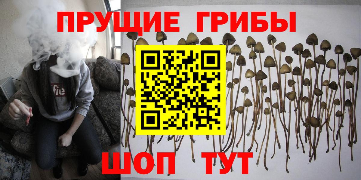 Кисловодск  Галлюциногенные грибы Magic Shrooms  Вход с VPN 